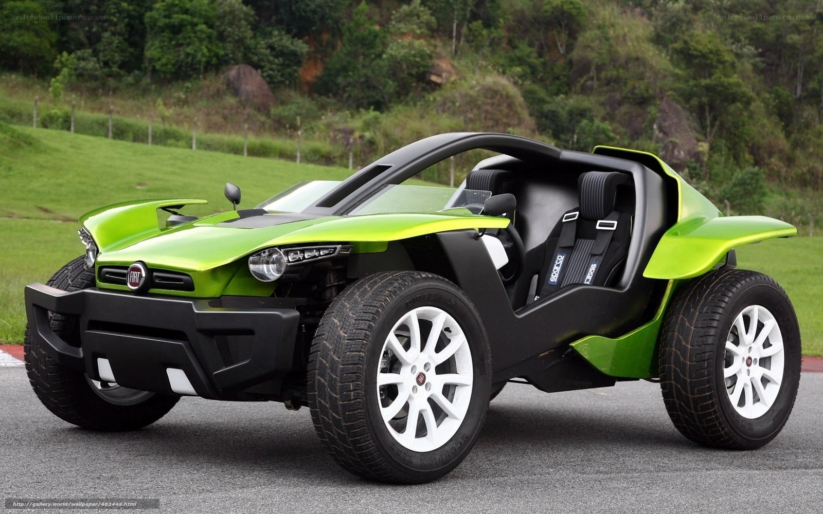 green fiat dune buggy