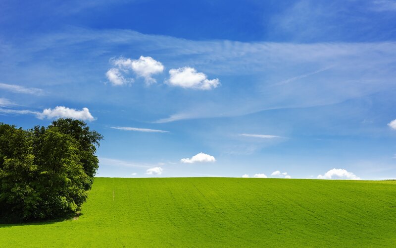 Green Field and Blue Sky — Serene, Afternoon