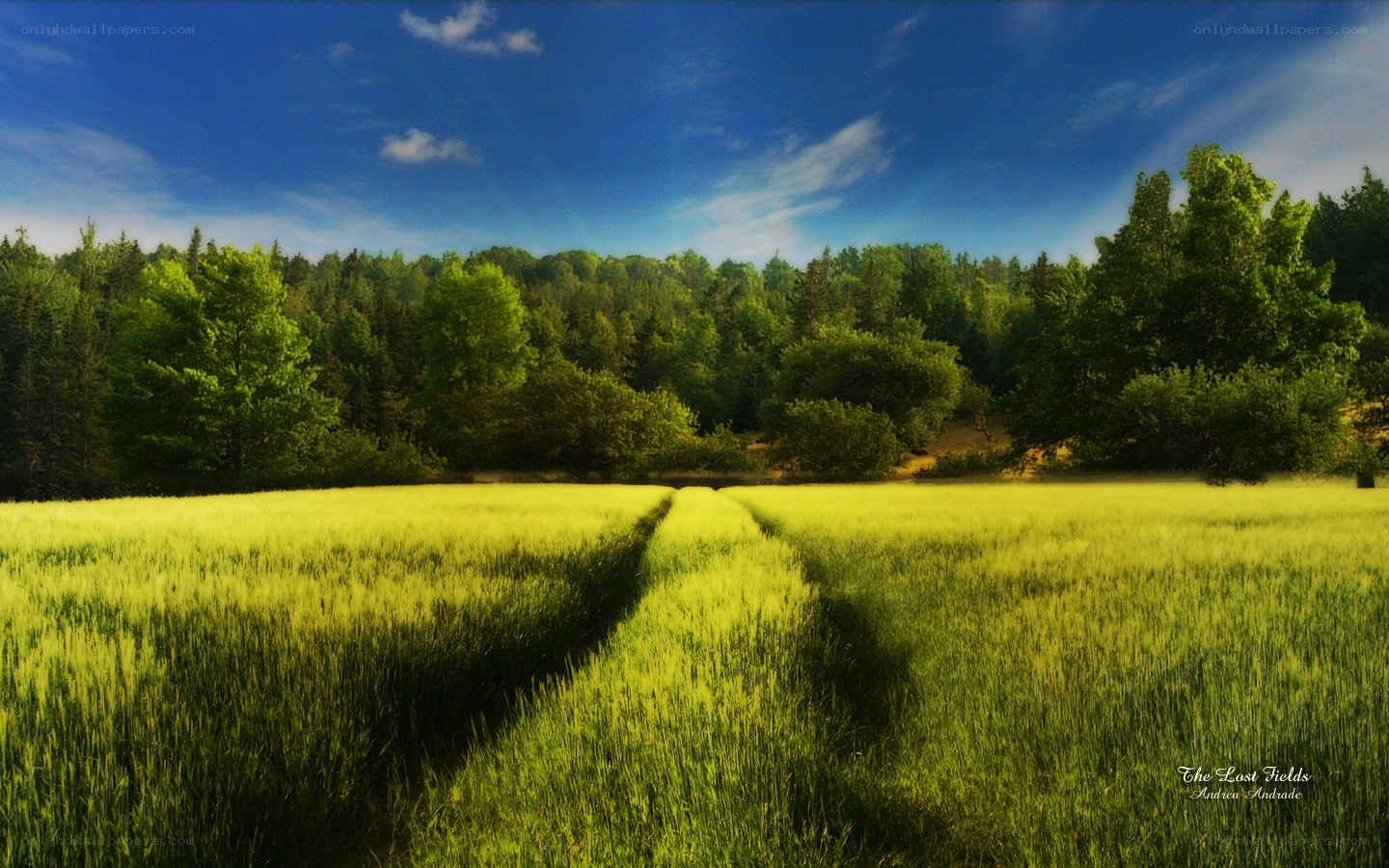 Green Field and Blue Sky