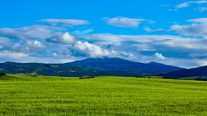 Green Field and Mountains