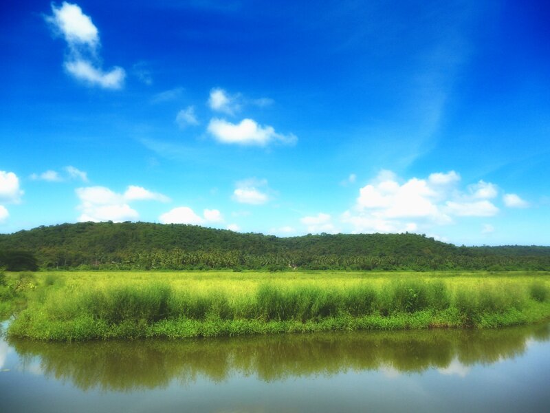 Green Field and River