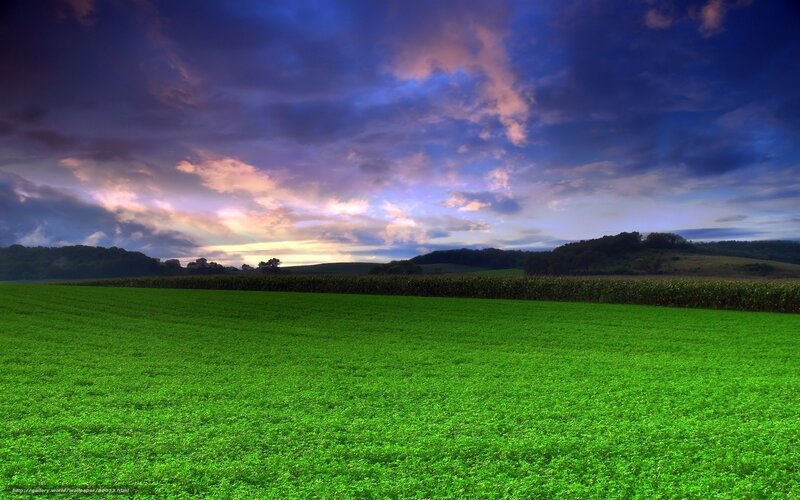 Green Field at Dusk — Dramatic