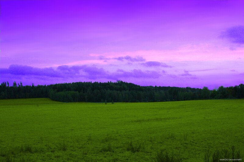Green Field at Dusk — Purple