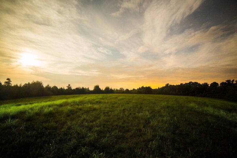 Green Field at Dusk — Serene, Sunset, Photograph, Sky, Trees