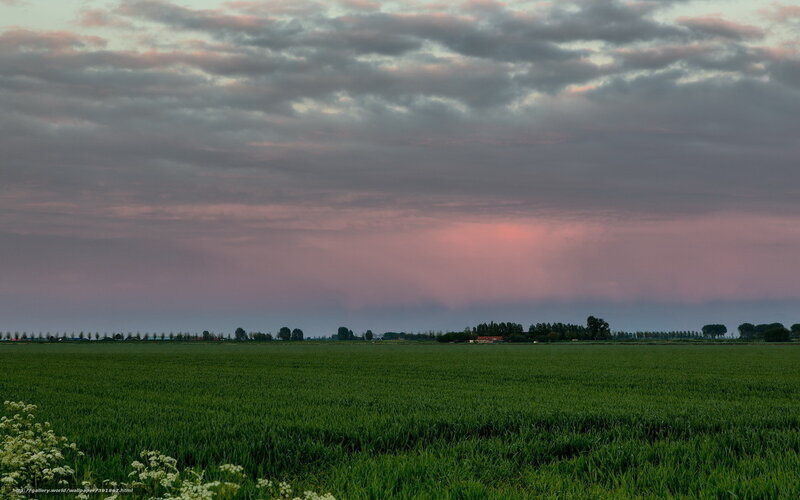 Green Field at Dusk — Serene, Sunset