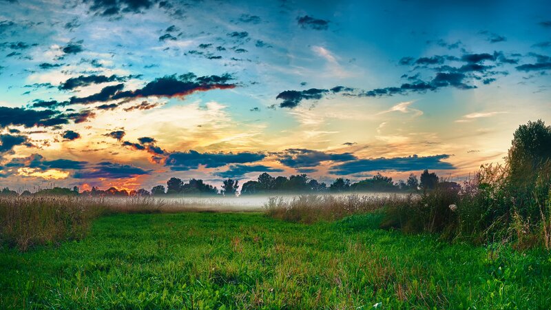 Green Field at Sunrise — Blue