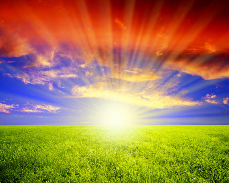 Green Field at Sunrise — Dramatic