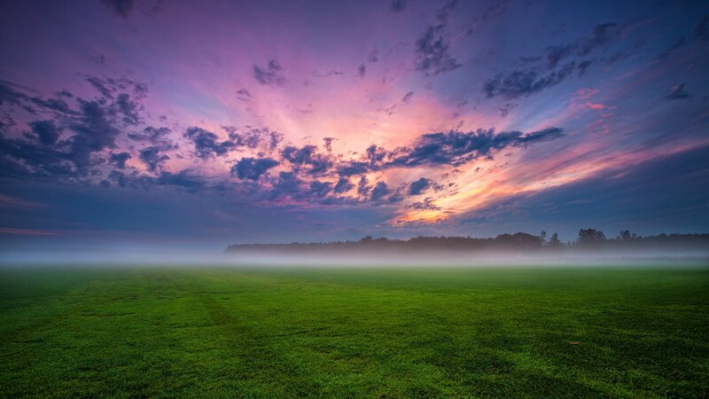 Green Field at Sunrise — Purple, Serene
