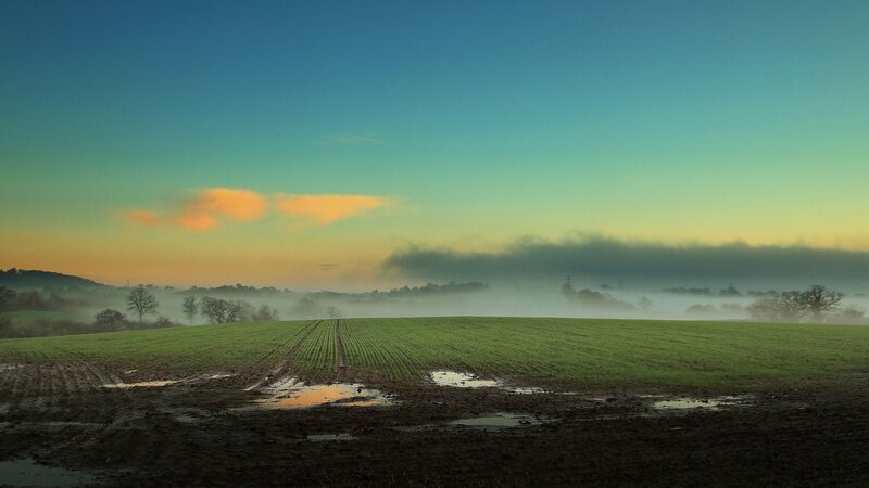 Green Field at Sunrise — Serene, Photograph, Fog
