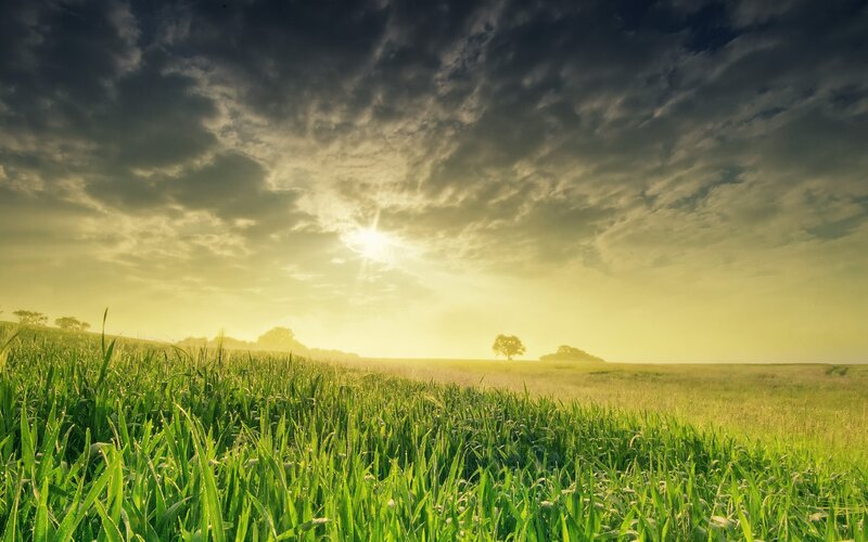 Green Field at Sunrise — Serene, Photograph, Sun, Clouds