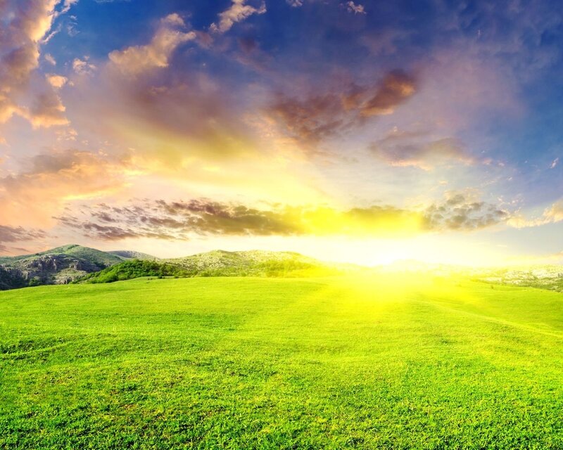 Green Field at Sunrise — Serene, Photograph