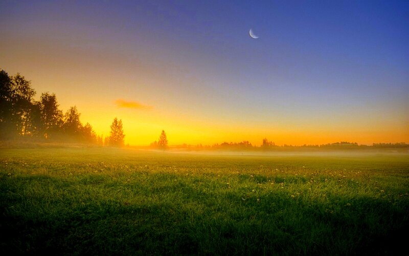 Green Field at Sunrise — Serene, Photograph, Trees