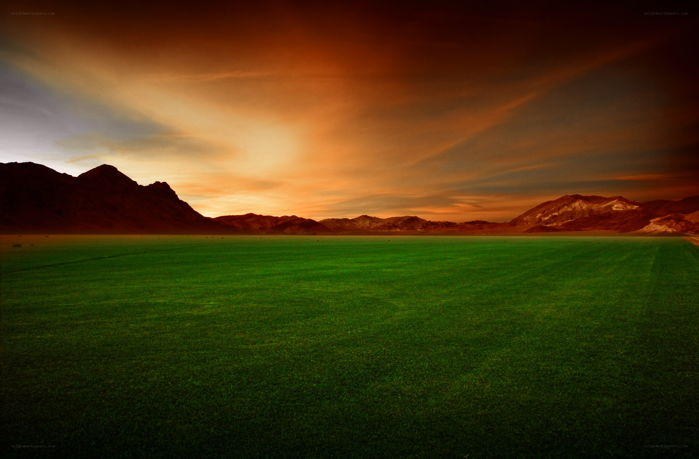 Green field at sunset