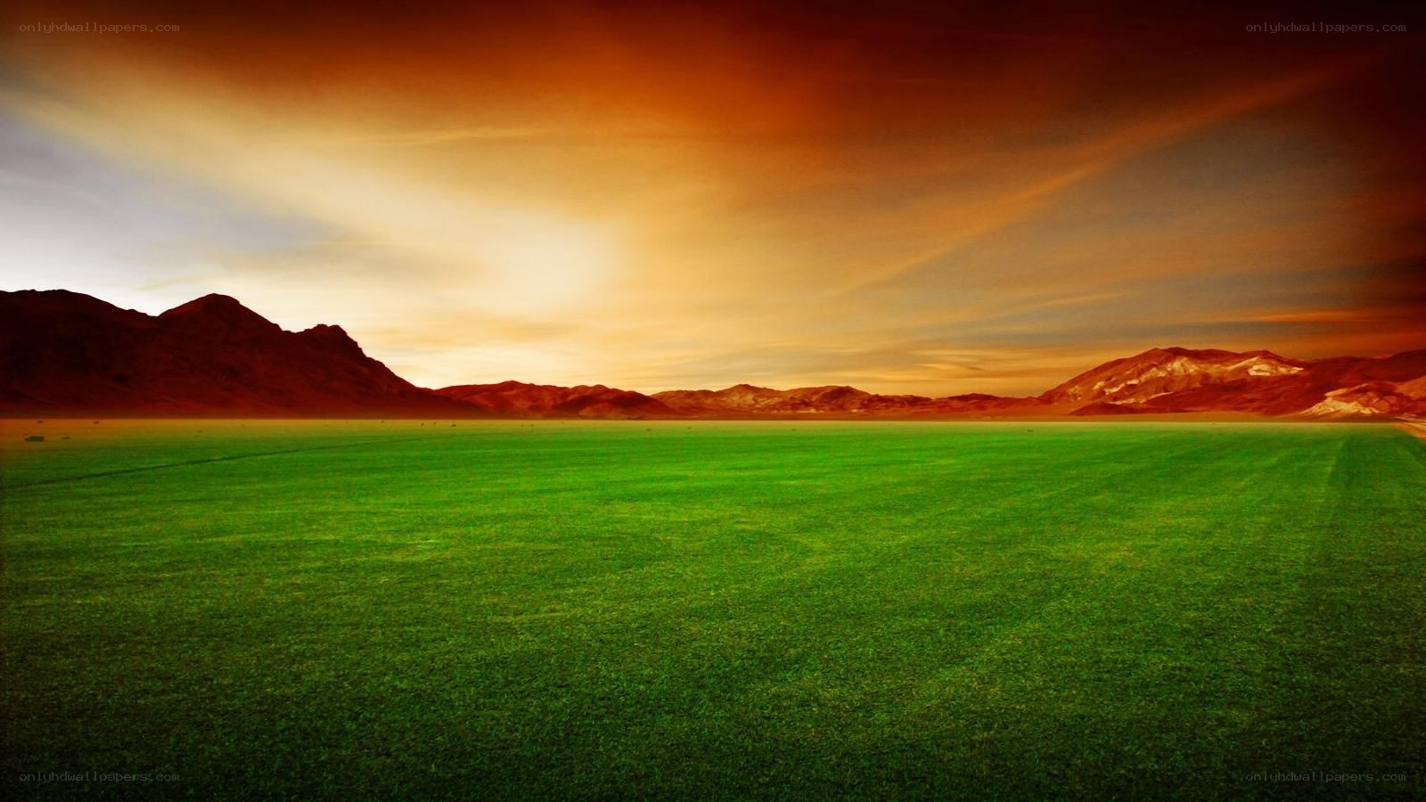 Green field at sunset