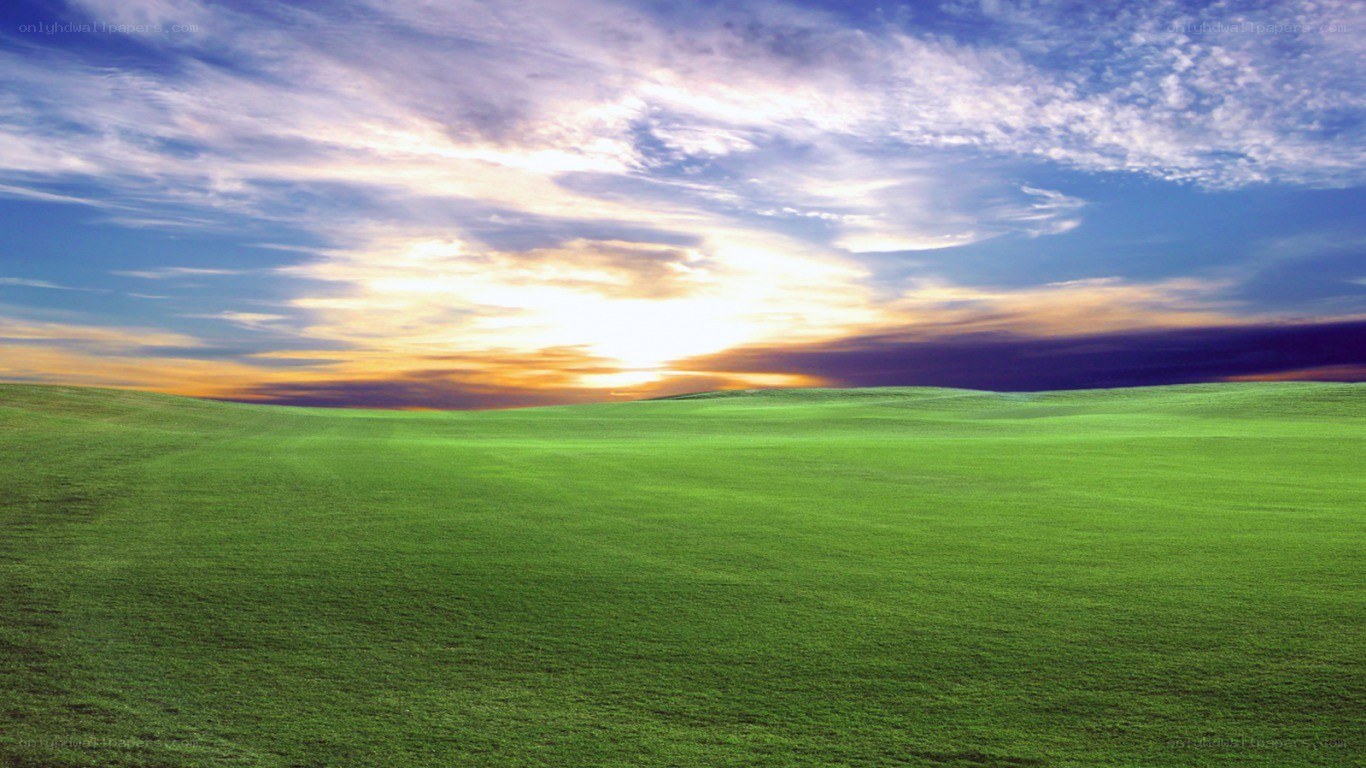 green field at sunset