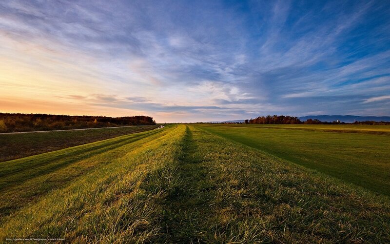 Green Field at Sunset — Blue, Serene, Photograph, Sky