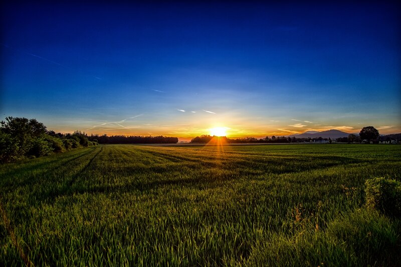 Green Field at Sunset — Blue, Serene, Photograph, Sun
