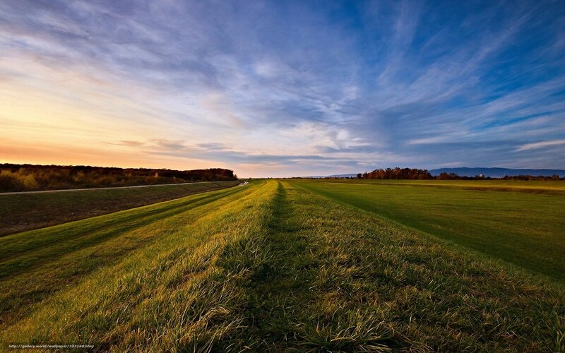 Green Field at Sunset — Blue, Serene, Photograph