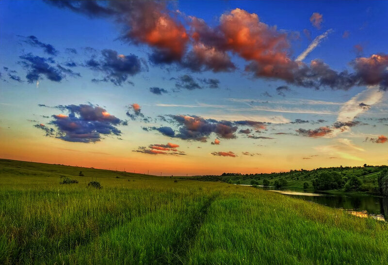 Green Field at Sunset — Blue, Serene