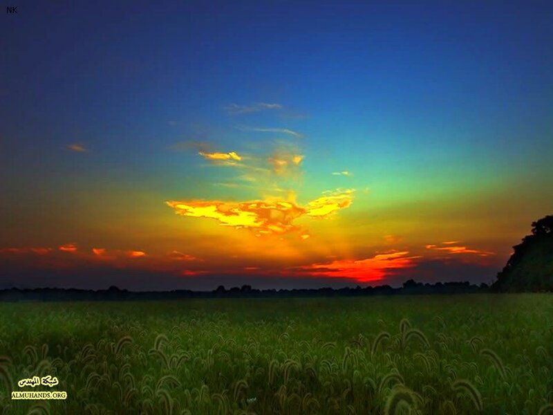Green Field at Sunset — Blue