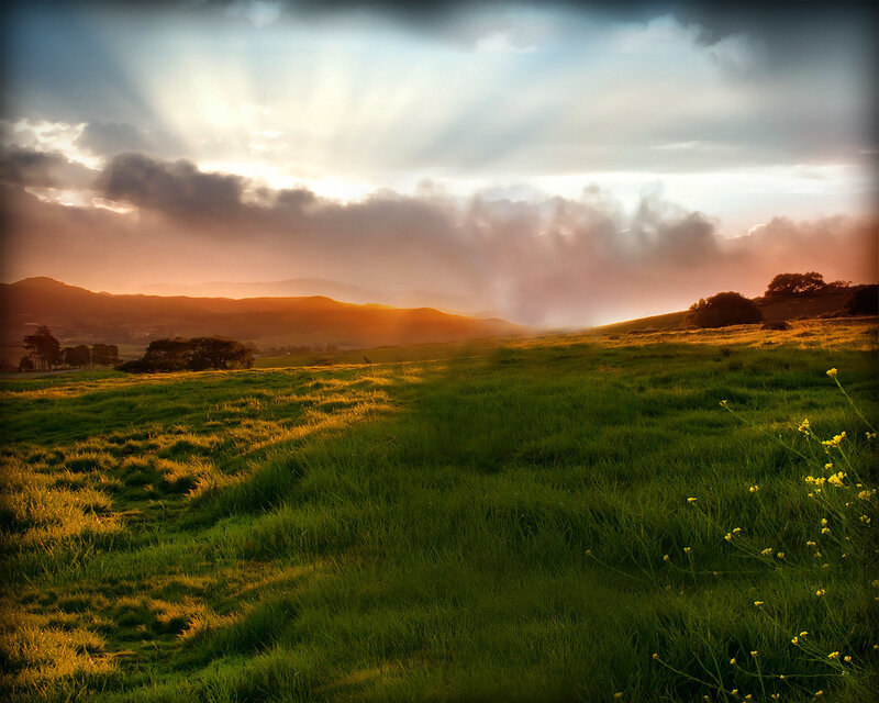 Green Field at Sunset — Dramatic, Photograph, Hills