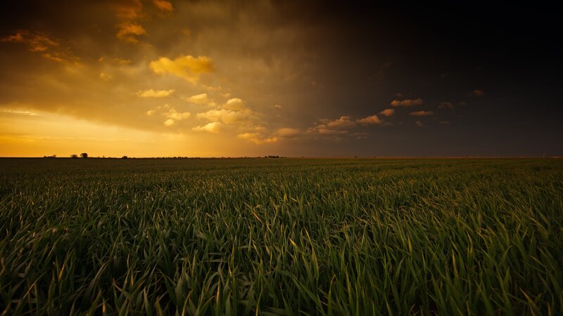 Green Field at Sunset — Dramatic, Photograph, Sky, Clouds