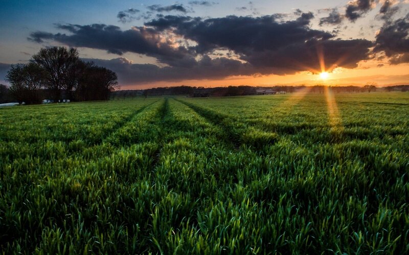 Green Field at Sunset — Dramatic, Photograph, Sun, Clouds