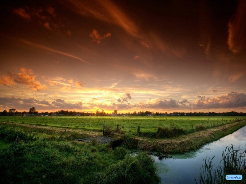 Green Field at Sunset — Dramatic, Photograph