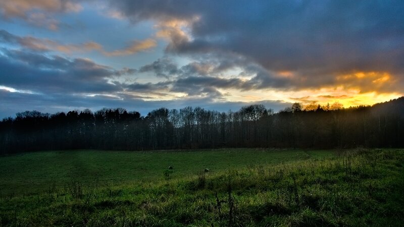 Green Field at Sunset — Dramatic, Photograph, Trees, Sky