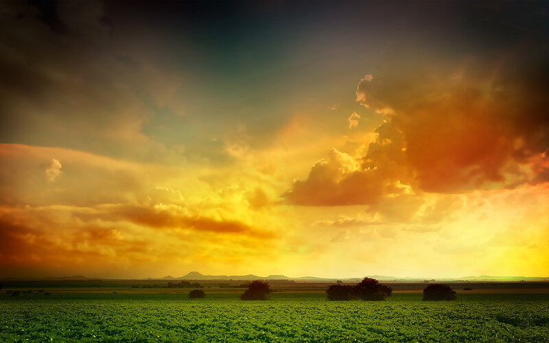 Green Field at Sunset — Dramatic