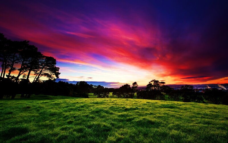 Green Field at Sunset — Purple, Dramatic, Photograph, Sky