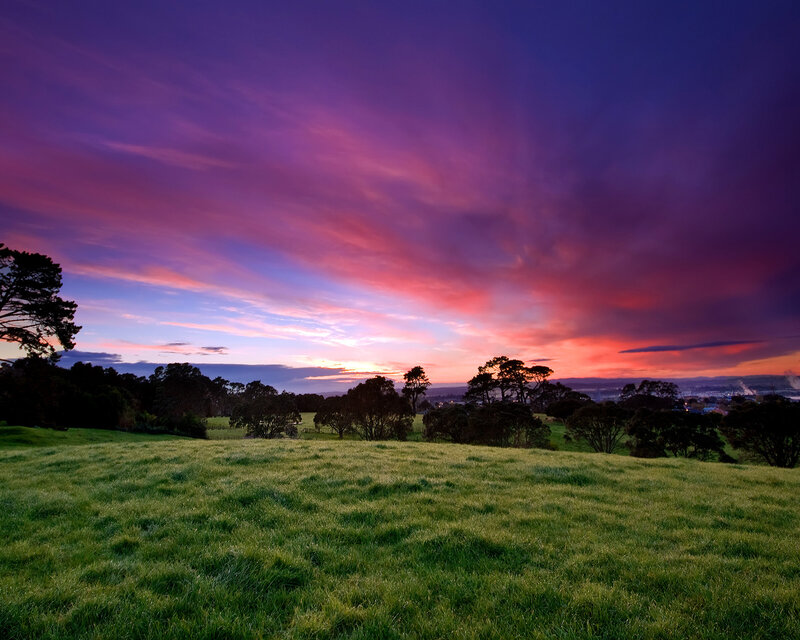 Green Field at Sunset — Purple, Dramatic, Photograph, Sky, Trees