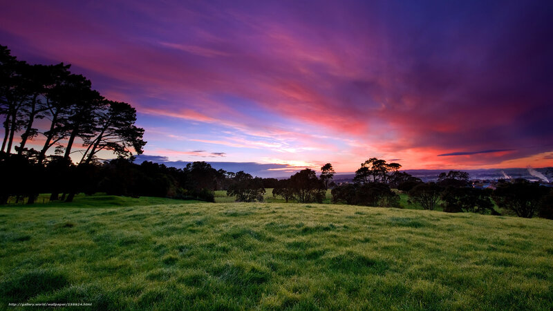 Green Field at Sunset — Purple, Dramatic, Photograph, Trees