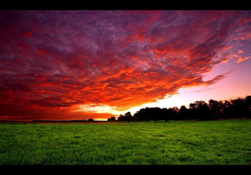 Green Field at Sunset — Red