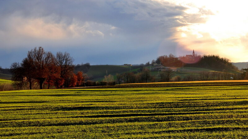 Green Field at Sunset — Serene, Photograph, Hills