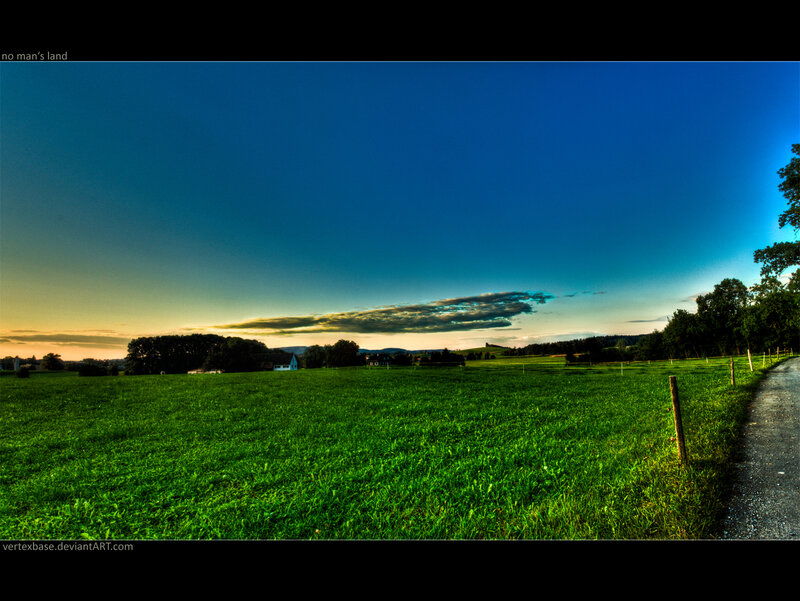 Green Field at Sunset — Serene, Photograph, Road, Trees