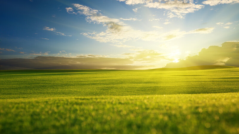 Green Field at Sunset — Serene, Photograph, Sky, Clouds