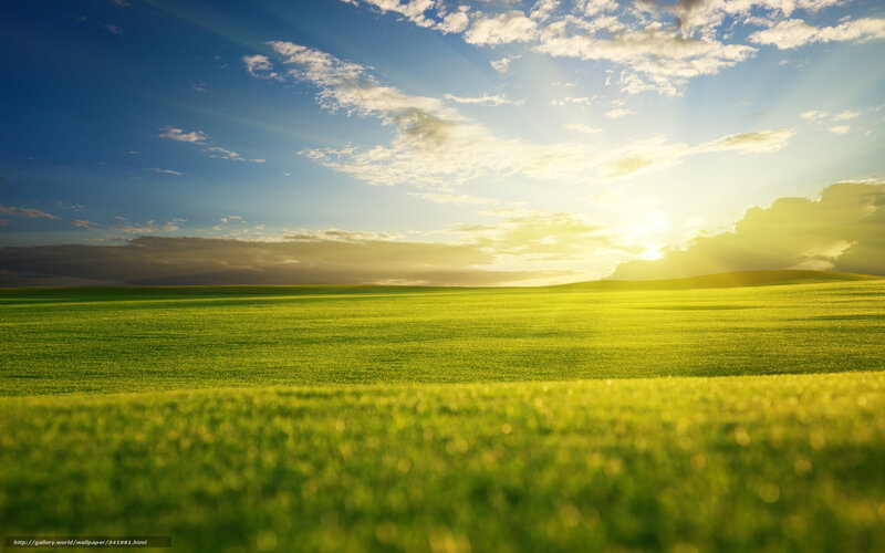 Green Field at Sunset — Serene, Photograph, Sky, Sun