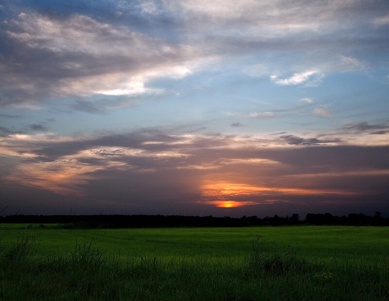 Green Field at Sunset — Serene, Photograph, Sky