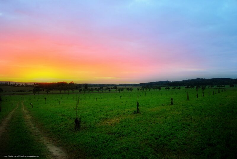 Green Field at Sunset — Serene, Photograph, Sky, Trees, Path