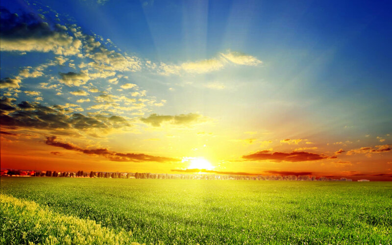 Green Field at Sunset — Serene, Photograph, Sun