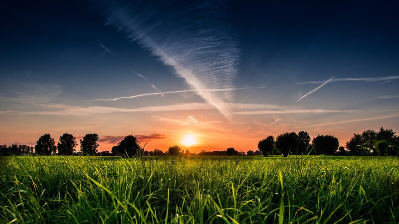 Green Field at Sunset — Serene, Photograph, Sun, Trees, Sky, Orange