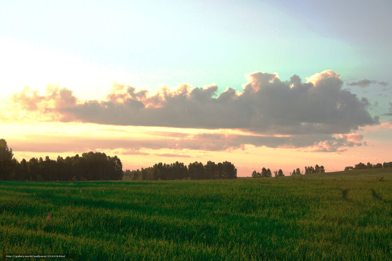 Green Field at Sunset — Serene, Photograph, Trees, Clouds