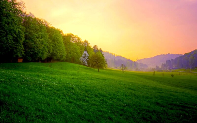 Green Field at Sunset — Serene, Photograph, Trees, Hills