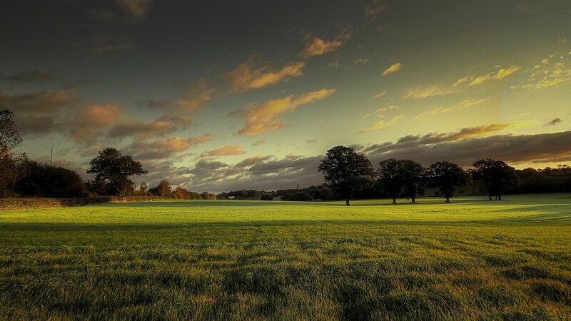 Green Field at Sunset — Serene, Photograph, Trees, Sky, Clouds