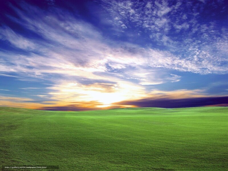 Green field at sunset