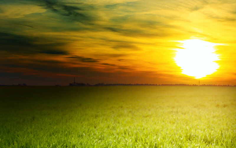 Green Field at Sunset — Yellow, Dramatic, Photograph, Sun, Sky