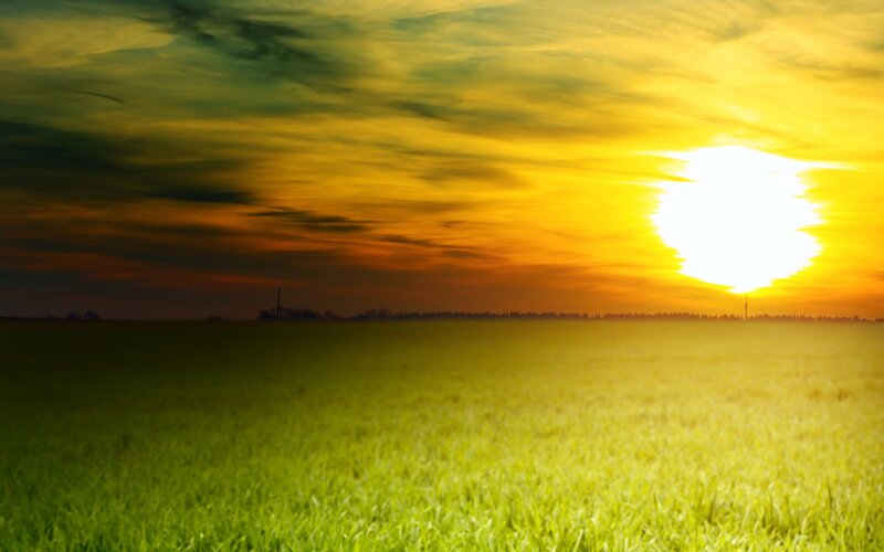 Green Field at Sunset — Yellow, Dramatic, Photograph, Sun