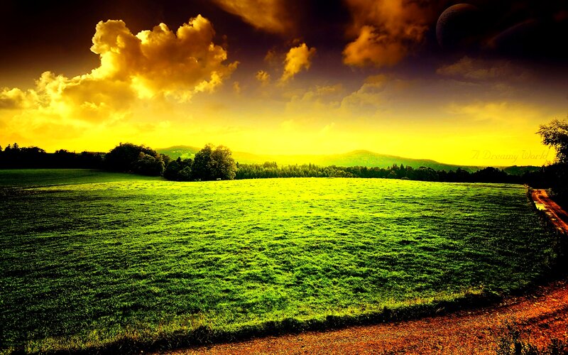 Green Field at Sunset — Yellow, Dramatic