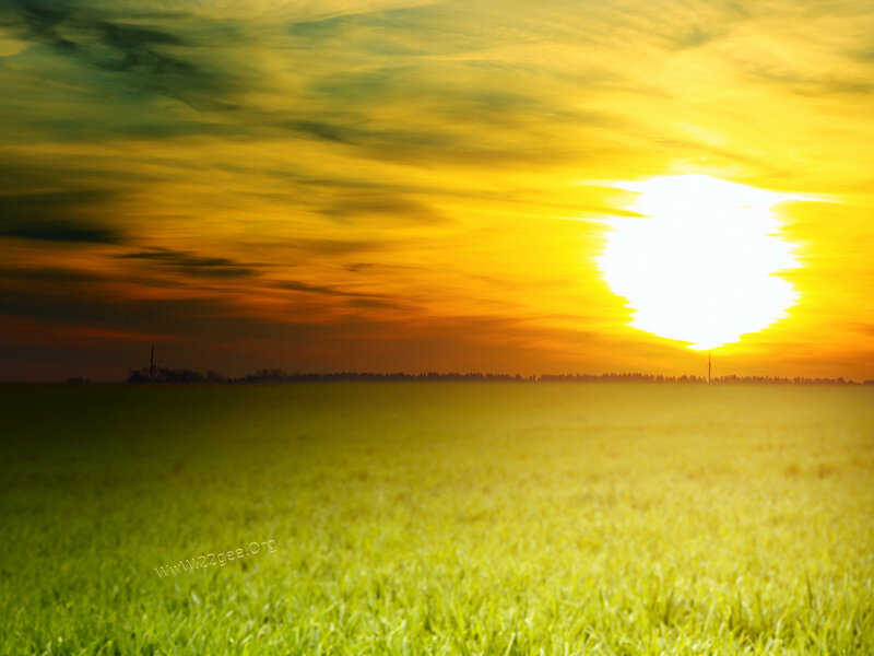 Green Field at Sunset — Yellow
